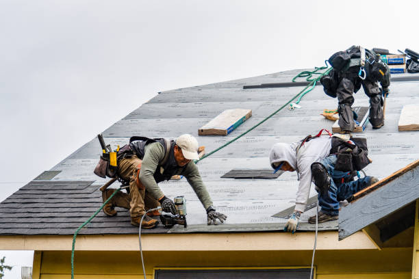 Professional Flat Roof Repair technician working in Woodville, WI